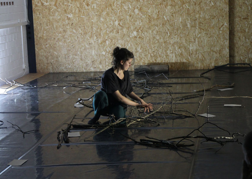 Shelley arranges landscape of branches to move through